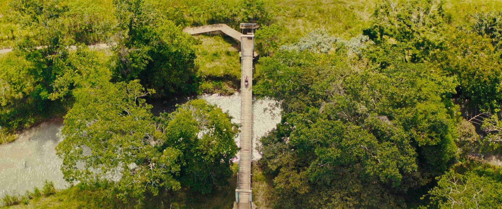 Puente de Hamaca sobre Río La Pita