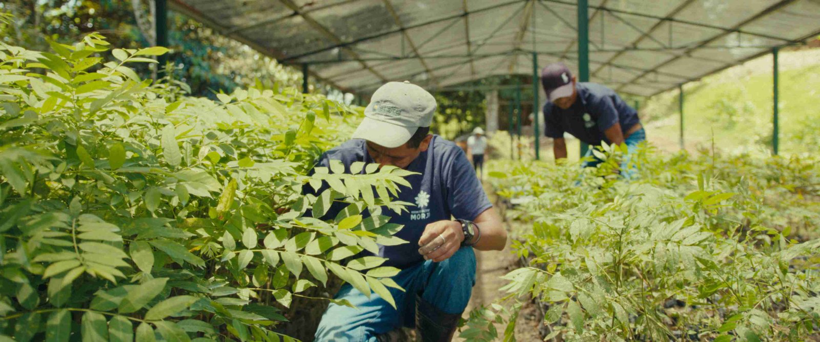 Vivero Morjá