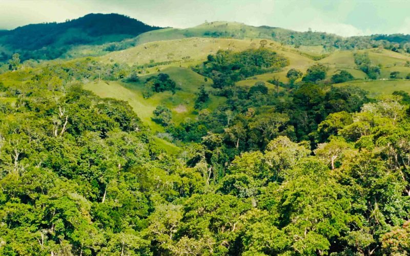 Contribuimoa al medio ambiente Contribuimoa al medio ambiente