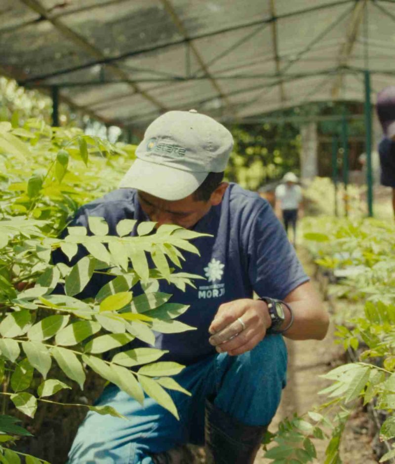 Vivero Morjá Vivero Morjá